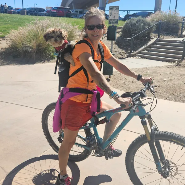 Penny Collins, LPC – Licensed Professional Counselor — ESA Letter Provider